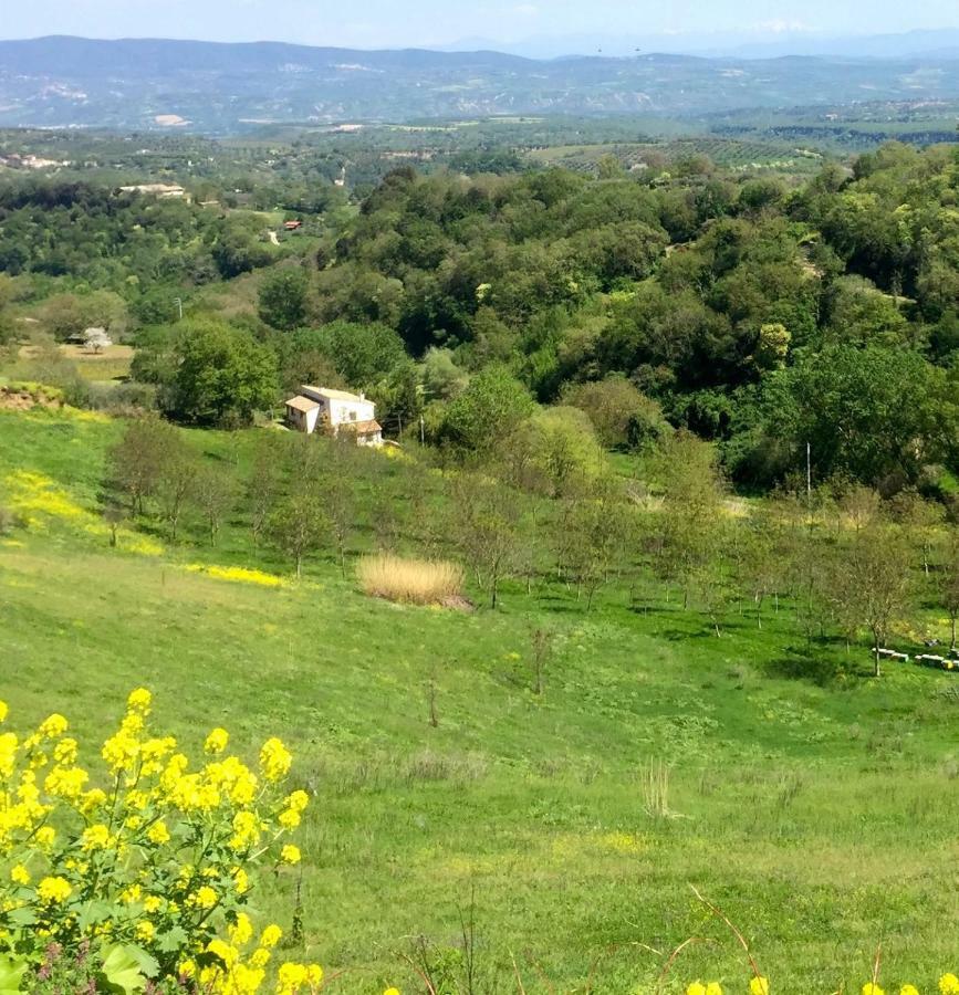 Antico Fienile Villa Celleno Buitenkant foto