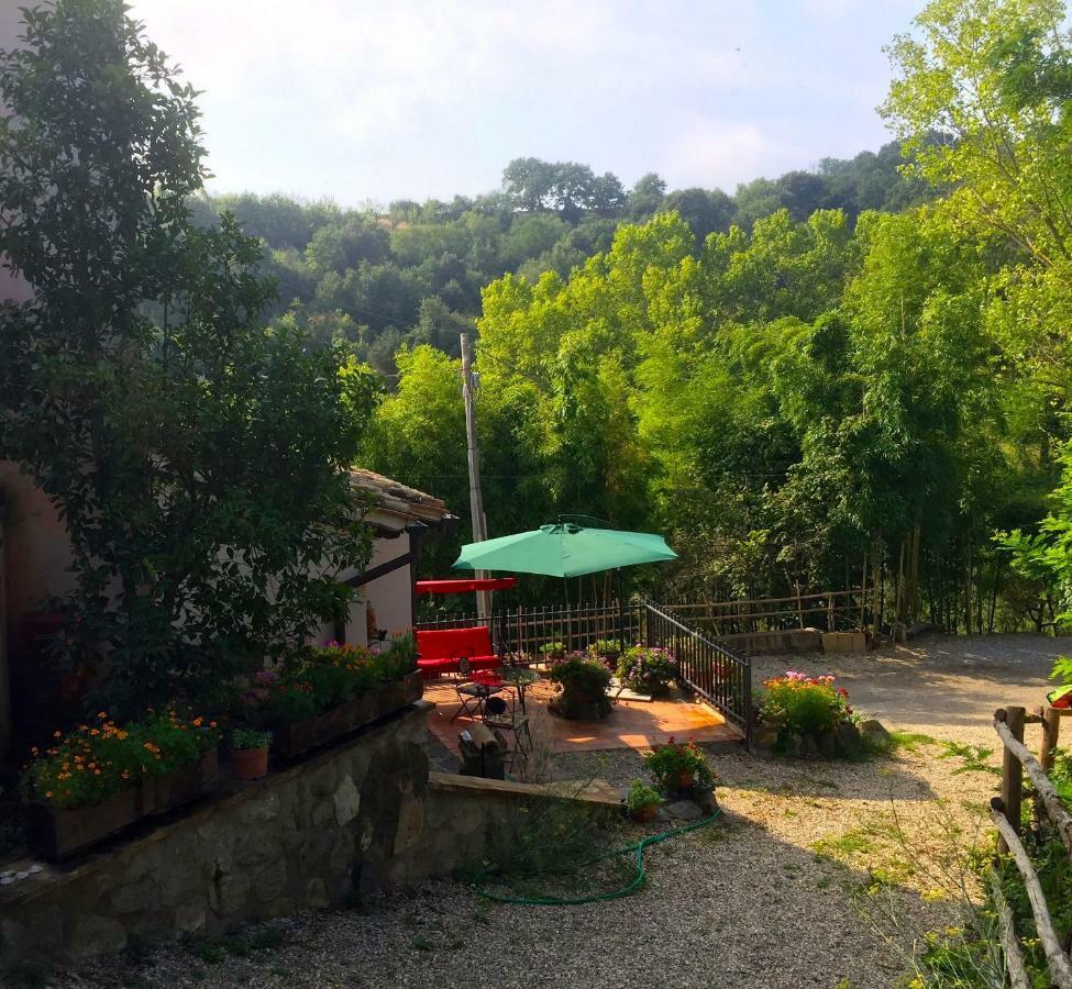Antico Fienile Villa Celleno Buitenkant foto